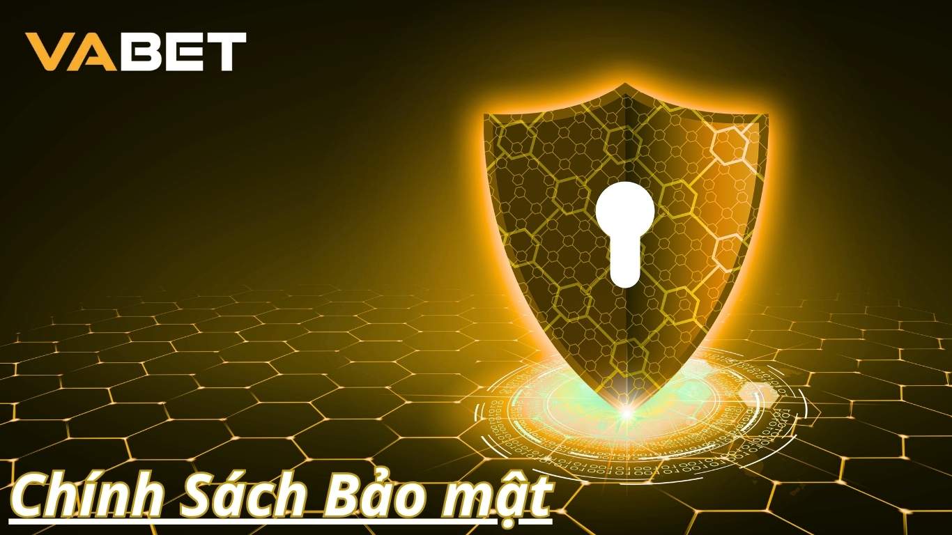 Trách nhiệm của người chơi chính sách bảo mật Vabet