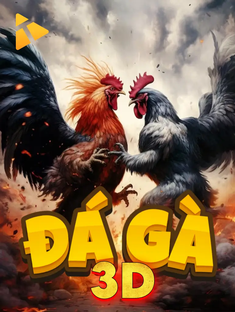 Đá gà 3D