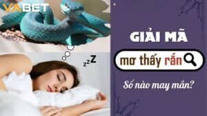 Mơ thấy con rắn đánh con gì?